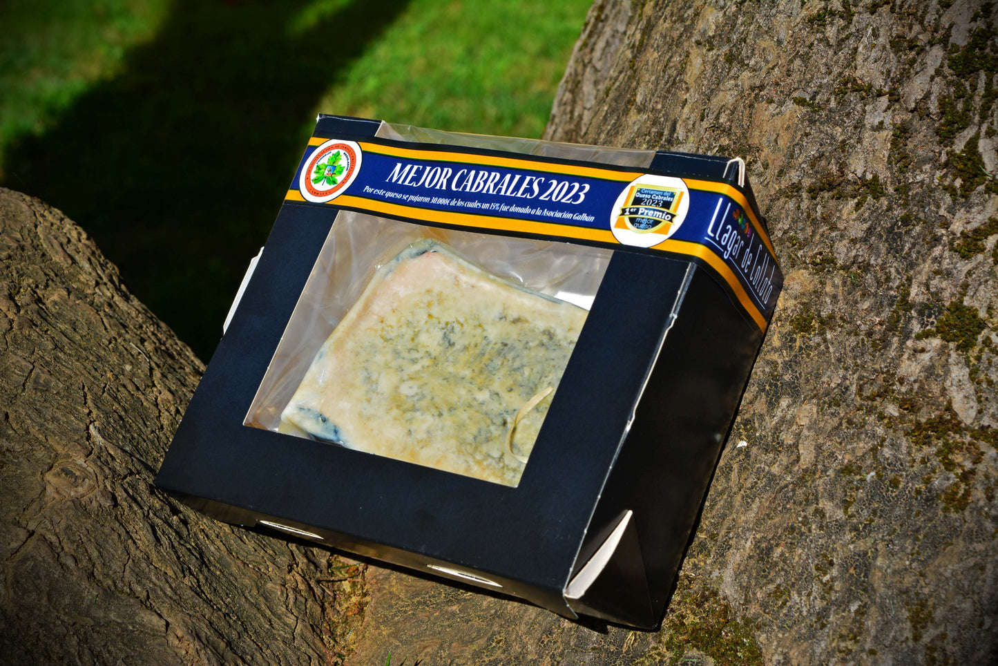 Cuña de Queso Cabrales